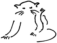 Иллюстрация к книге — Кот [i_031.jpg]