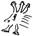 Иллюстрация к книге — Кот [i_043.jpg]