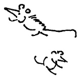 Иллюстрация к книге — Кот [i_091.jpg]