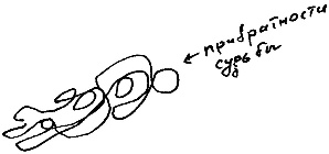 Иллюстрация к книге — Кот [i_095.jpg]