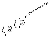 Иллюстрация к книге — Кот [i_162.jpg]