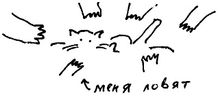 Иллюстрация к книге — Кот [i_216.jpg]