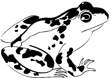 Иллюстрация к книге — Франция. Путешествие с вилкой и штопором [i_005.jpg]