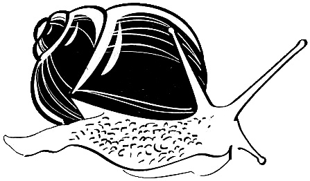 Иллюстрация к книге — Франция. Путешествие с вилкой и штопором [i_006.jpg]