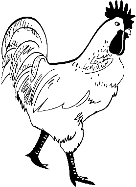 Иллюстрация к книге — Франция. Путешествие с вилкой и штопором [i_011.jpg]