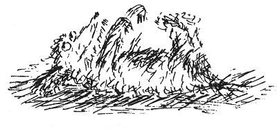 Иллюстрация к книге — Собачья жизнь [i_008.jpg]