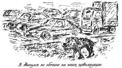 Иллюстрация к книге — Собачья жизнь [i_014.jpg]