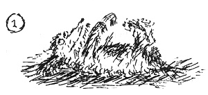 Иллюстрация к книге — Собачья жизнь [i_028.jpg]