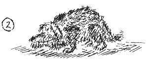 Иллюстрация к книге — Собачья жизнь [i_029.jpg]