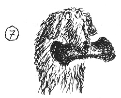 Иллюстрация к книге — Собачья жизнь [i_034.jpg]