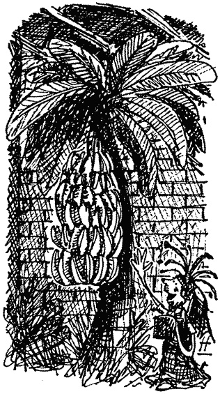 Иллюстрация к книге — Семейка монстров [_013.jpg]