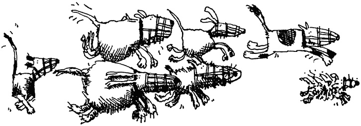 Иллюстрация к книге — Семейка монстров [_017.jpg]