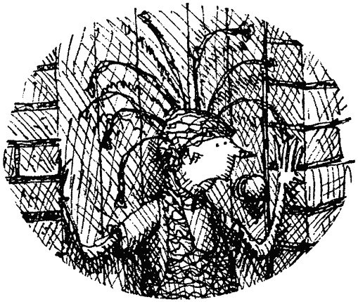 Иллюстрация к книге — Семейка монстров [_040.jpg]