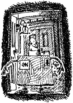 Иллюстрация к книге — Семейка монстров [_041.jpg]