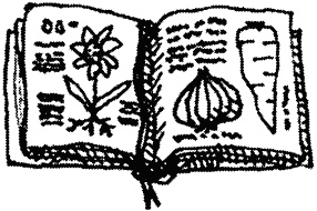 Иллюстрация к книге — Семейка монстров [_048.jpg]