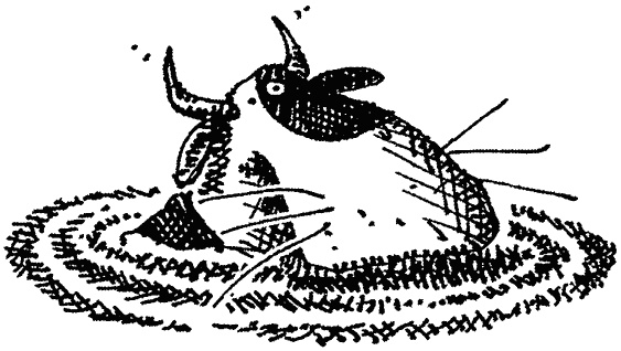 Иллюстрация к книге — Семейка монстров [_080.jpg]