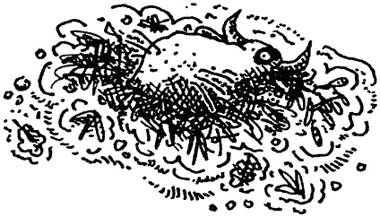 Иллюстрация к книге — Семейка монстров [_083.jpg]