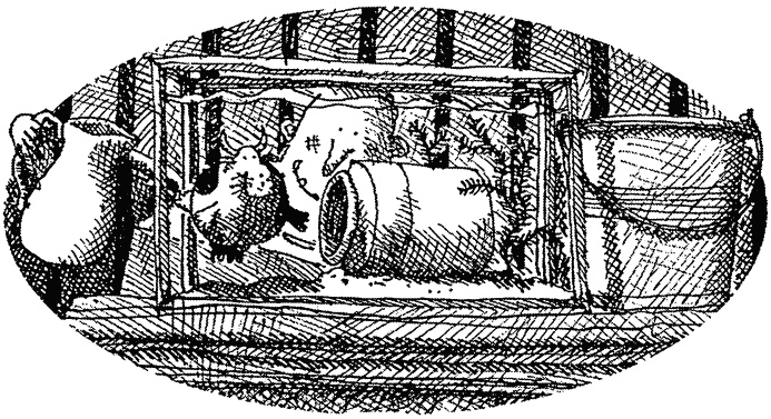 Иллюстрация к книге — Семейка монстров [_099.jpg]