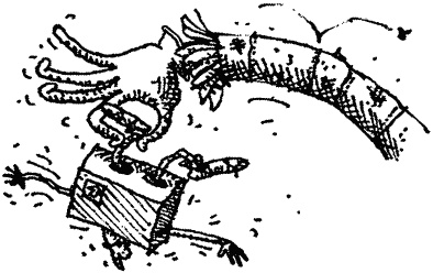 Иллюстрация к книге — Семейка монстров [_119.jpg]