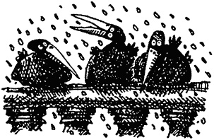 Иллюстрация к книге — Семейка монстров [_142.jpg]