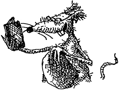 Иллюстрация к книге — Семейка монстров [_147.jpg]