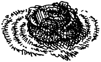 Иллюстрация к книге — Семейка монстров [_150.jpg]