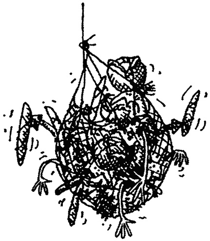 Иллюстрация к книге — Семейка монстров [_154.jpg]