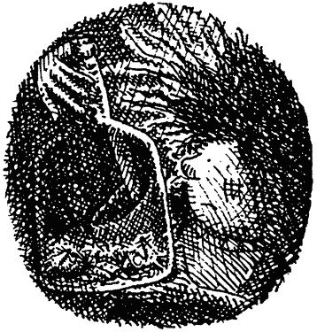 Иллюстрация к книге — Семейка монстров [_192.jpg]