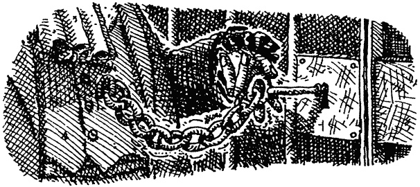 Иллюстрация к книге — Семейка монстров [_250.jpg]