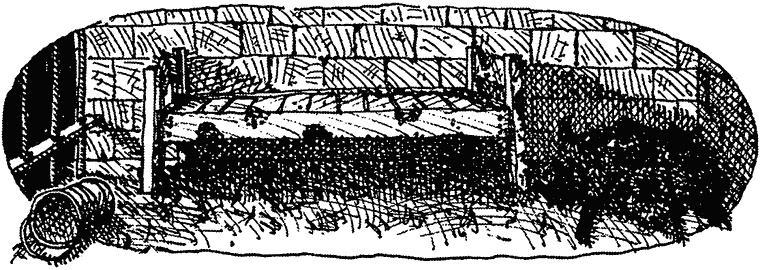 Иллюстрация к книге — Семейка монстров [_260.jpg]