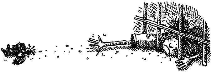 Иллюстрация к книге — Семейка монстров [_261.jpg]