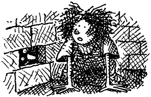 Иллюстрация к книге — Семейка монстров [_296.jpg]