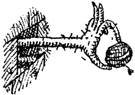 Иллюстрация к книге — Семейка монстров [_297.jpg]