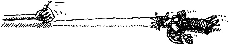 Иллюстрация к книге — Семейка монстров [_300.jpg]