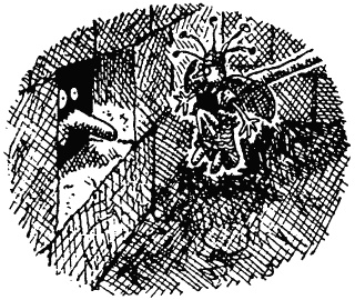 Иллюстрация к книге — Семейка монстров [_301.jpg]