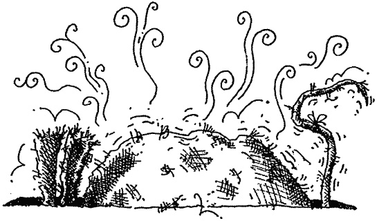 Иллюстрация к книге — Семейка монстров [_351.jpg]