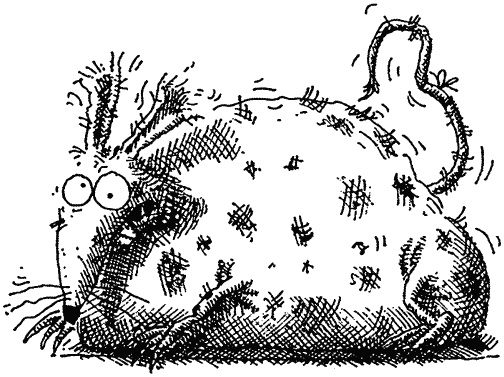 Иллюстрация к книге — Семейка монстров [_352.jpg]