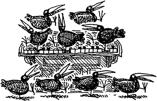 Иллюстрация к книге — Семейка монстров [_367.jpg]