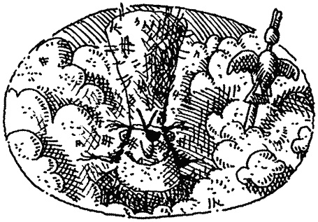 Иллюстрация к книге — Семейка монстров [_369.jpg]