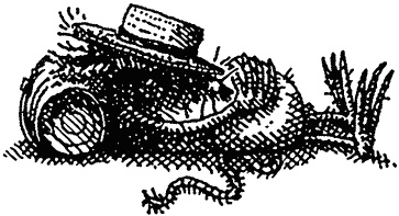 Иллюстрация к книге — Семейка монстров [_414.jpg]