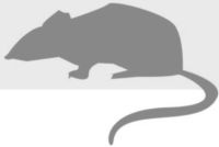 Иллюстрация к книге — Легенды московского метро [i_075.jpg]