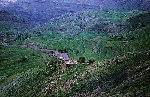 Иллюстрация к книге — В/ч №44708: Миссия Йемен [i_010.jpg]