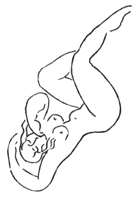 Иллюстрация к книге — История одного предательства, одной страсти и трех смертей [i_001.jpg]