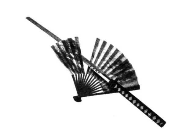 Иллюстрация к книге — Самурайша [i_001.jpg]