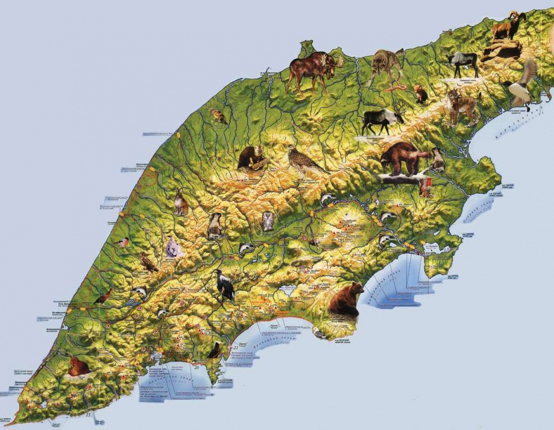 Иллюстрация к книге — Горизонт края света [image11_53bf5c6b99159a590e8b456a_jpg.jpg]