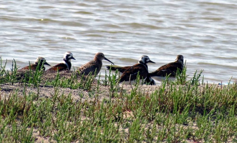 Иллюстрация к книге — Горизонт края света [image7_53bfa0be37eca2c7188b456d_jpg.jpg]