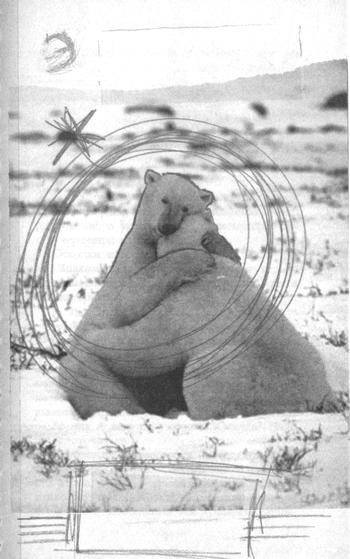 Иллюстрация к книге — Квантовая теория любви [_000031.jpg]