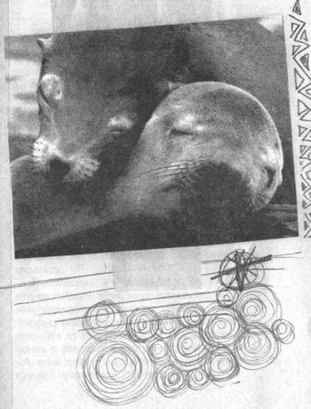 Иллюстрация к книге — Квантовая теория любви [_000301.jpg]