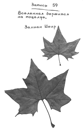 Иллюстрация к книге — Квантовая теория любви [_00076.jpg]