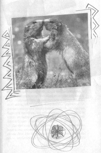 Иллюстрация к книге — Квантовая теория любви [_000761.jpg]